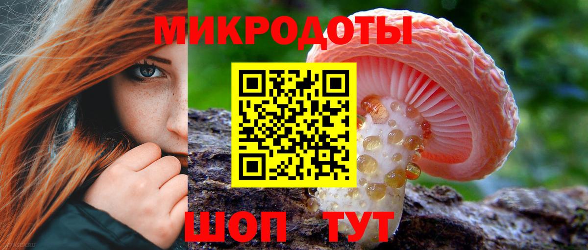 Псилоцибиновые грибы прущие грибы Кувандык